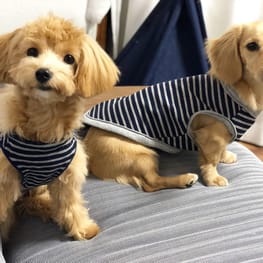 gaminさんの作品