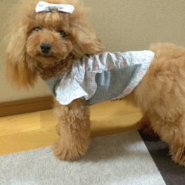 puiloveさんの作品