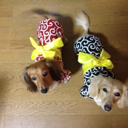 もりちゃんさんの作品