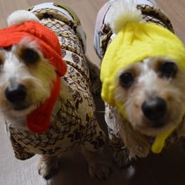 ひなはなさんの作品