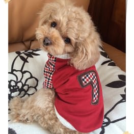 もえこむさんの作品