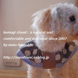 こむぎさんの作品