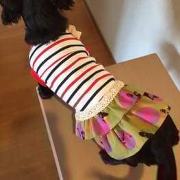 hananonnさんの作品