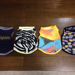 ミカチュウさんの作品