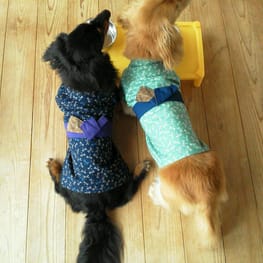 モコさんの作品