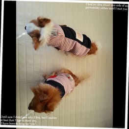 hananonnさんの作品