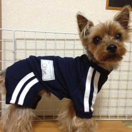 LabiOliママさんの作品