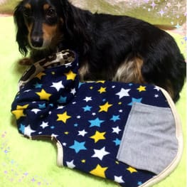 chocoさんの作品