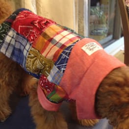 カペルさんの作品