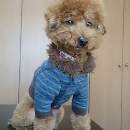 もじこさんの作品