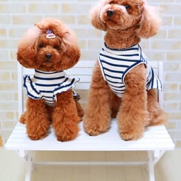 C&L.mamaさんの作品