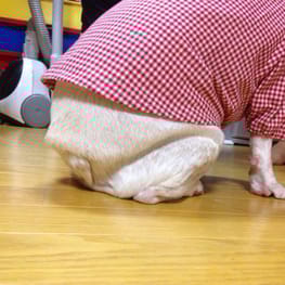 モコさんの作品