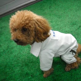 しゅう太さんの作品