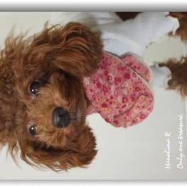 RinJuRiさんの作品