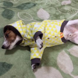 ぶるーしおんさんの作品