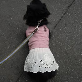 ライさんの作品