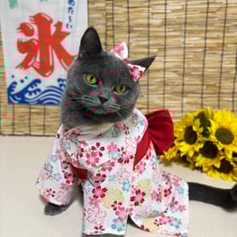 えりさんの作品