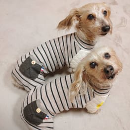 ひなはなさんの作品