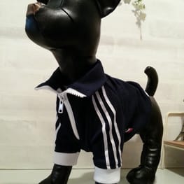 usakorinさんの作品