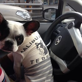 まんもさんの作品