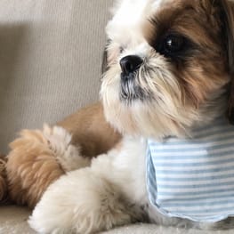 ルルさんの作品