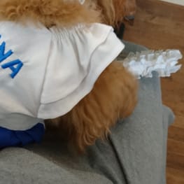 カオリンさんの作品