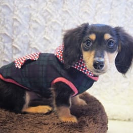 mamehanasoraさんの作品