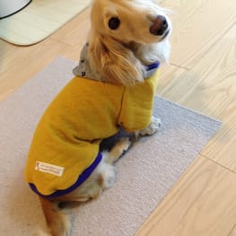 ココ母さんの作品