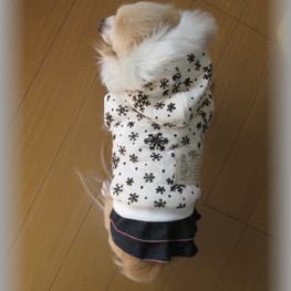 りんたんさんの作品