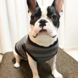 ふくさんの作品