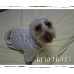 ひなはなさんの作品