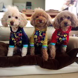 blancoさんの作品