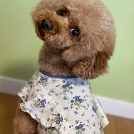 maroazu&Rusk*mamaさんの作品