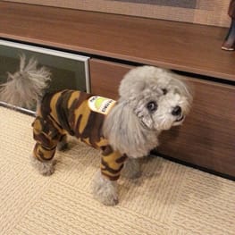 みちもこさんの作品