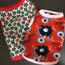 anmaroさんの作品