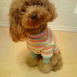 トモコさんの作品