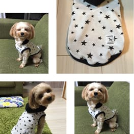 てんさんの作品