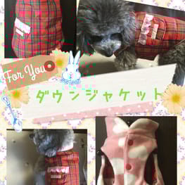 marimoさんの作品