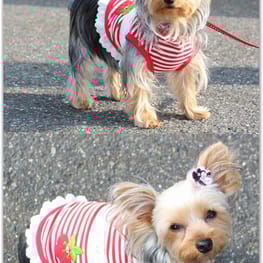 なおまろんさんの作品