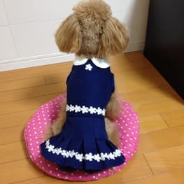 らくすさんの作品