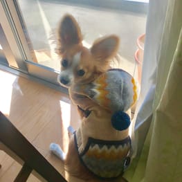 へまちゃんさんの作品