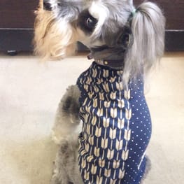 Dwarfさんの作品