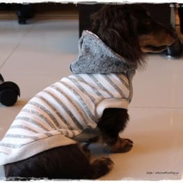 akizoo88さんの作品