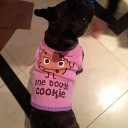 Peasnatchさんの作品