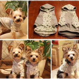 toshiさんの作品