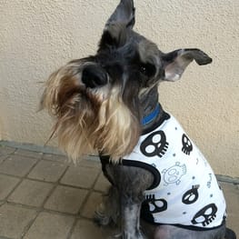 ひろ姉さんの作品