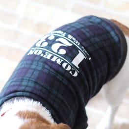 ms2jackさんの作品