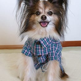 はるさんの作品