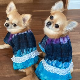 犬服のハンドメイド作品-みんなのかわいい手作り犬服 / 愛犬のための犬 