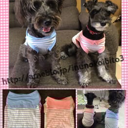 レンかのさんの作品